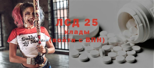 прущие грибы Алзамай