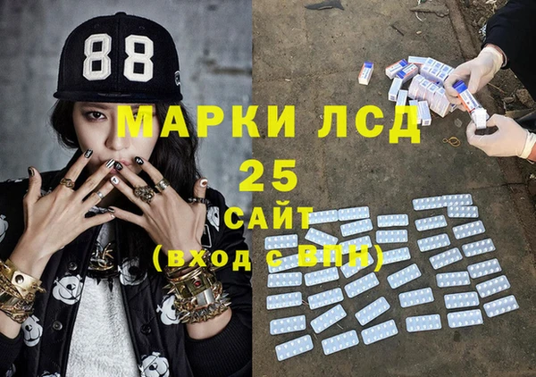 прущие грибы Алзамай