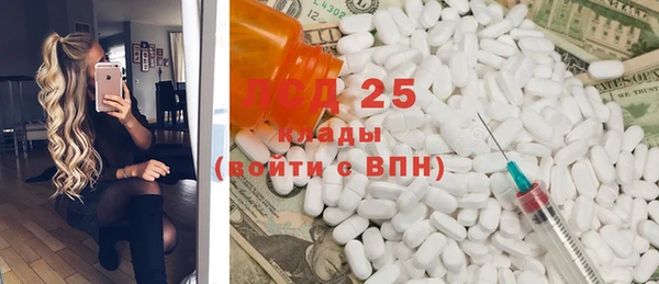прущие грибы Алзамай