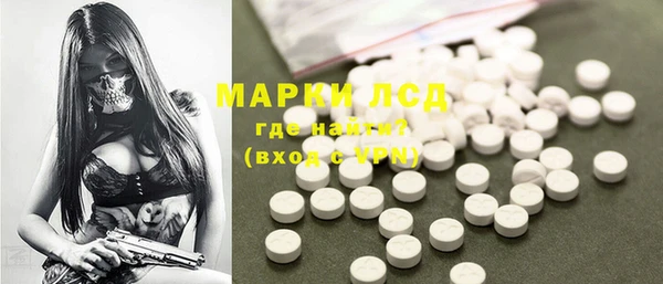 прущие грибы Алзамай
