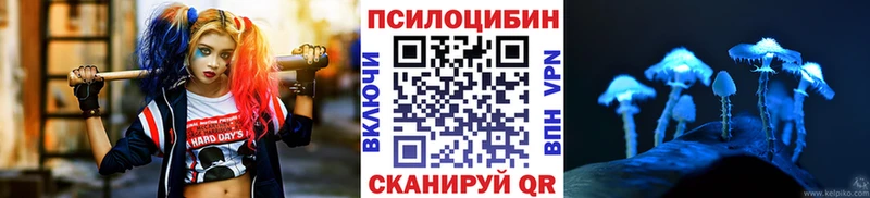 Галлюциногенные грибы Magic Shrooms OMG рабочий сайт Ленинск-Кузнецкий
