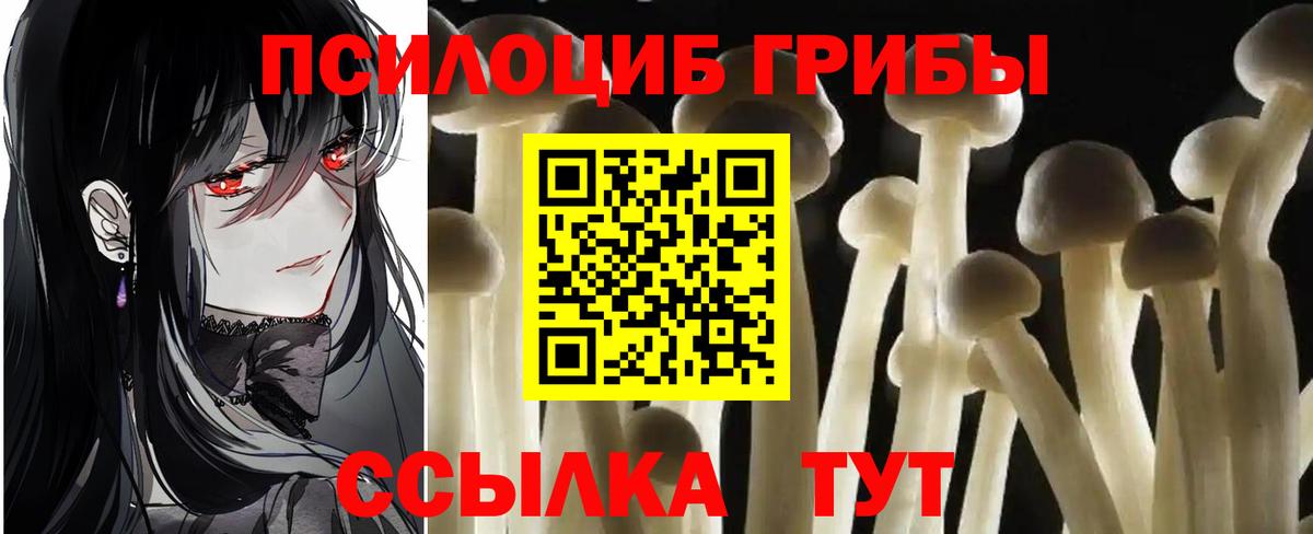 Псилоцибиновые грибы GOLDEN TEACHER  Галлюциногенные грибы мицелий  где продают наркотики  Ленинск-Кузнецкий  Вход с VPN 